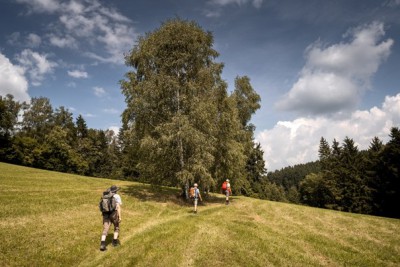 OTEVŘENÍ POUTNÍ STEZKY „OD DUNAJE K VLTAVĚ“ Z MATEŘSKÉHO KLÁŠTERA WILHERING DO KLÁŠTERA VYŠŠÍ BROD