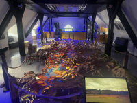 NOVÉ ZAJÍMAVÉ MUZEUM - ŠUMAVA ZNOVUZROZENÁ