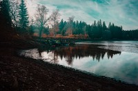 VÝLOV PLÁNIČSKÉHO RYBNÍKU 2025