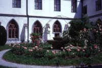 Kreuzgangsgarten mit blühenden Rosen