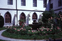 Das Kreuzgangsgarten mit blühenden Rosen im Sommer